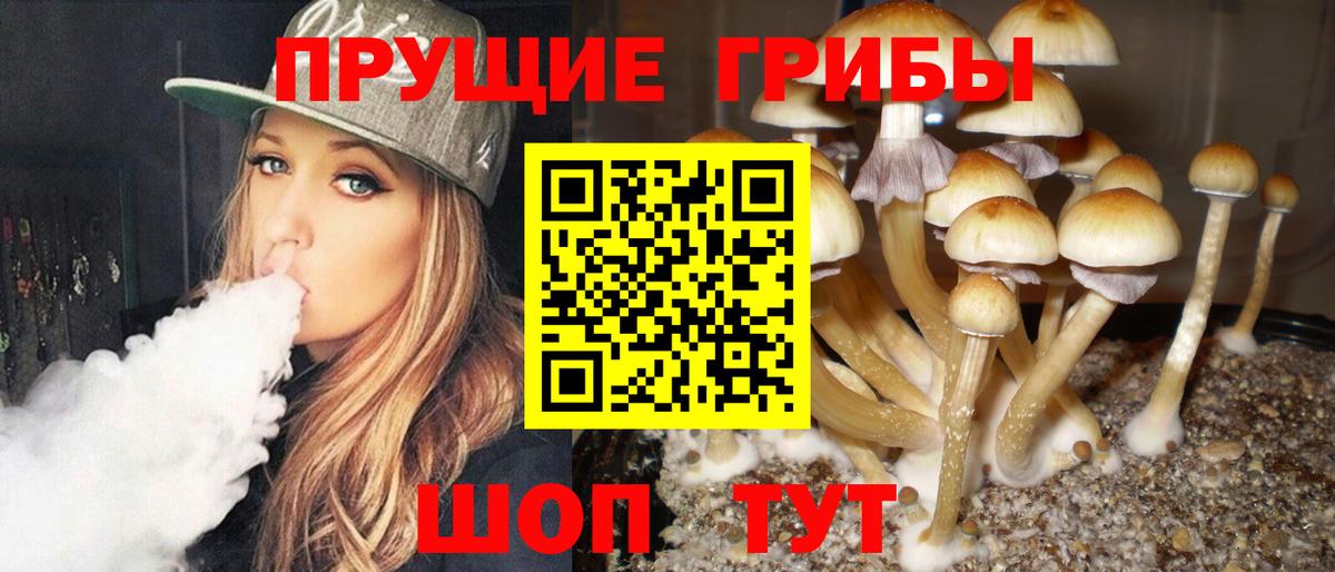 Галлюциногенные грибы Magic Shrooms Алексин