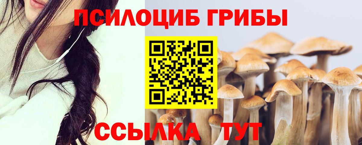 Псилоцибиновые грибы мицелий  Вход с VPN  Галлюциногенные грибы MAGIC MUSHROOMS  Алексин 